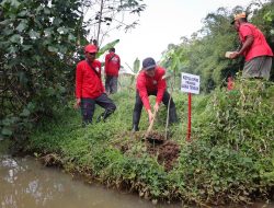 Sumanto Singgung Mitos Genderuwo, Pohon Besar Dijaga demi Kelangsungan Sumber Air Desa