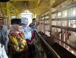 Jelang Iduladha, Bupati Kendal Cek Kesehatan Hewan Kurban