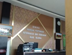 3.000 Hektar Tembakau, Nasib 10.600 Petani Terbelah Dua Jalan