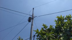 Pasang Meteran Hingga Tambah Daya, PLN ULP Blora Jelaskan Aturan & Layanan