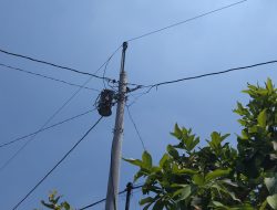 Pasang Meteran Hingga Tambah Daya, PLN ULP Blora Jelaskan Aturan & Layanan