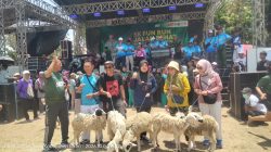 Jalan Sehat HUT TNI ke-81 di Cepu Berlangsung Meriah, Warga Banjir Hadiah